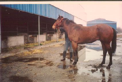 �ϵ����� ����