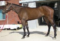 ������ (SAETEOJEON) ����