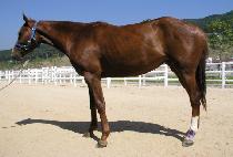 ������ (GWANGBOKDONG) ����