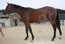 ����� (NAMSANSU) ����