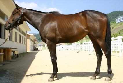 ���帮 ����