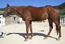 GEUMGANG GONGWON picture