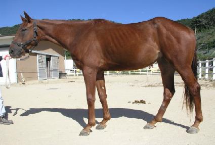 �ݰ����� ����