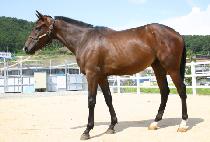 õ������ (CHEOLLI JANGJEONG) ����