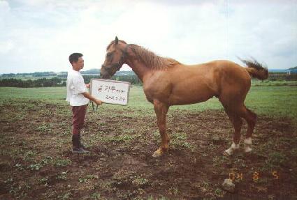 ���̽� ����