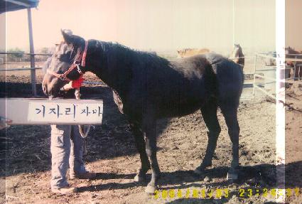 ��Ű���� ����