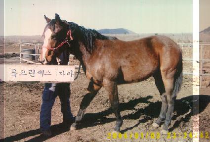 �����ǿ� ����