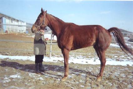 �������� ����