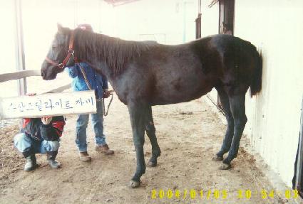 ���̽����� ����