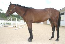 �űݵ� (GEOGEUMDO) ����