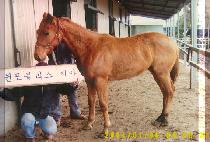 Ư������ (TEUKGEUP JINGYEOK) ����