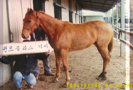 Ư������ ����