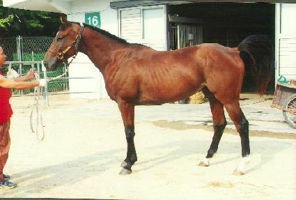 ���屺 ����