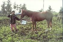 ���Ƿ� (HAPPY RUN) ����