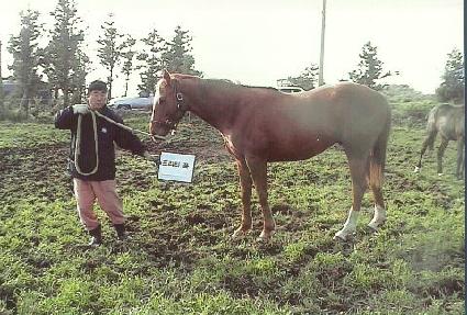 ���Ƿ� ����