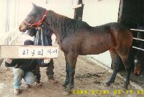 �������� (YEOLLIN CHUKJE) ����