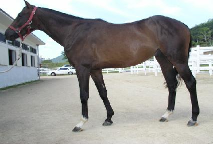 �˼��� ����