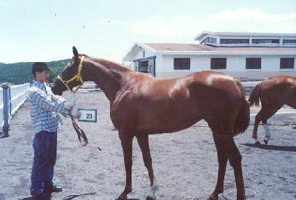 ���̴��� ����