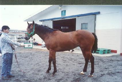 ���丮���� ����