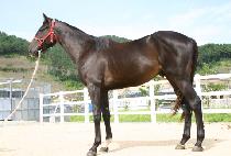 �Ź̼� (GEOMISON) ����