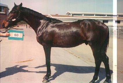 �۰� ����