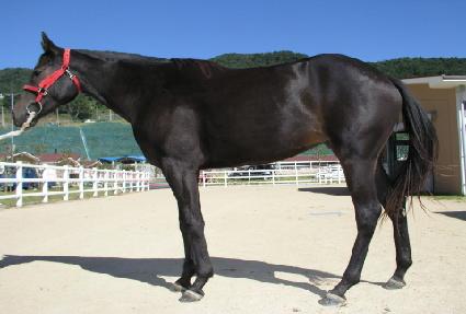 ���۷�Ű ����