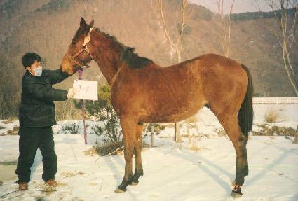 û�� ����