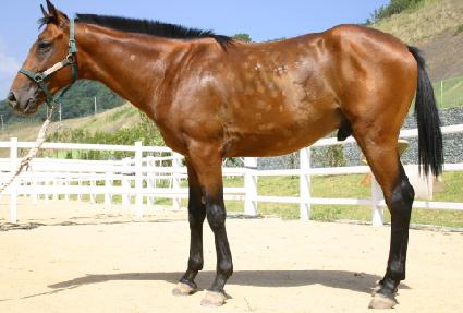 �������� ����