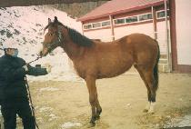 �۹��� (SONGBAEKJO) ����