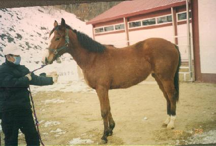 �۹��� ����