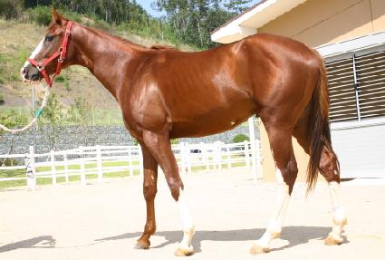 ���빫�� ����