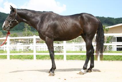 �ϴÿ��� ����