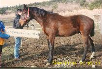 õȲ�� (CHEONHWANGSEONG) ����