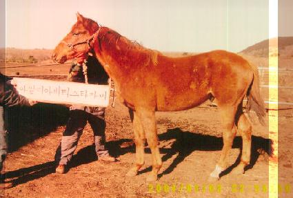 ŷ���� ����