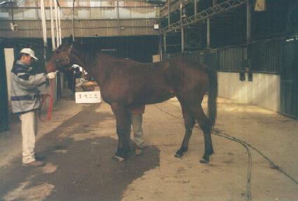 ���÷��� ����