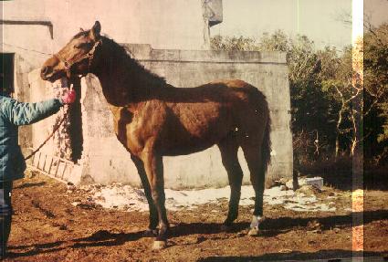 ��û� ����