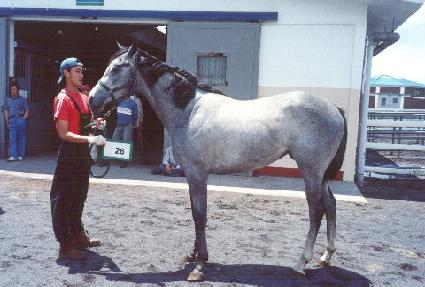 �������ǵ� ����