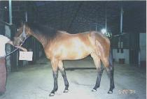 ������ (VERY GOOD) ����