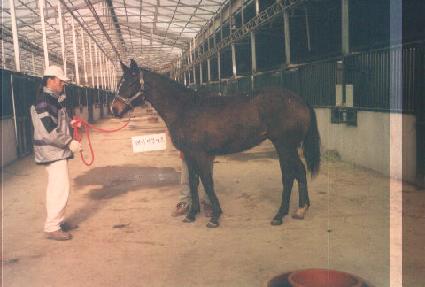 �������̵� ����