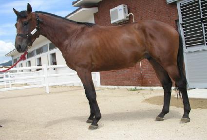 õ�յ��� ����