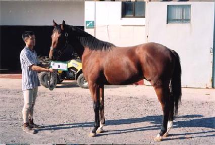 ������� ����