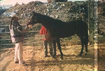 ������ġ (ONE TWO PUNCH) ����