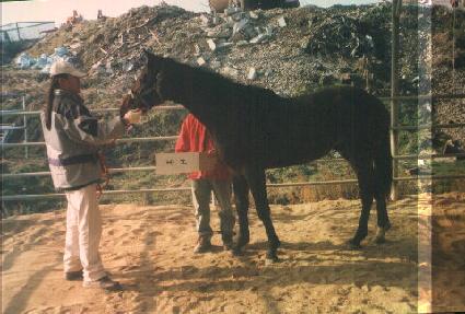 ������ġ ����