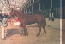 �����̿� (ONE BY ONE) ����