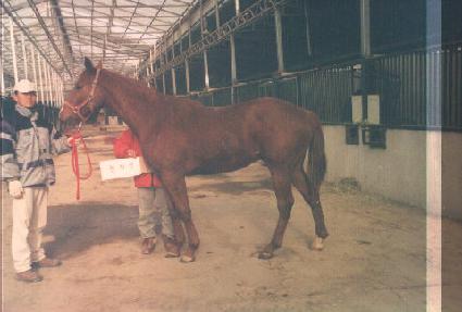 �����̿� ����