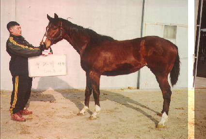 ���عٶ� ����