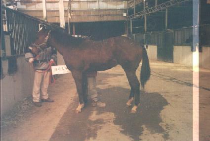 �׸𱺴� ����