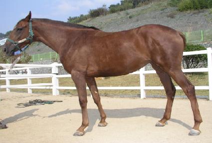 ����� ����