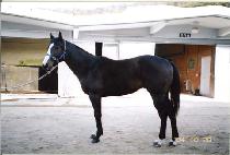 ������ (JANGBONG KWAEGEOM) ����