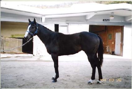 ������ ����